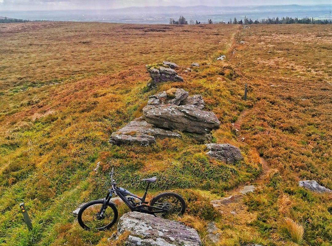 Mountain biking trails in autum colours